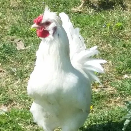 Διαμέρισμα Apartma Marisol *