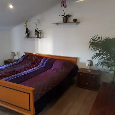 Apartma Marisol Apartment