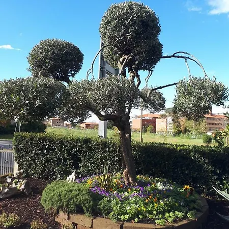 Apartma Marisol *
